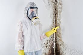 Asbestos and Lead Testing During Mold Inspection in Chelsea, MA